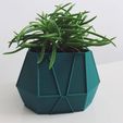 Planter_V3_1.jpg Free STL file Geometric planters v2・Object to download and to 3D print