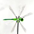 Dragonfly-on-White-2.jpg Dragonfly Wind Spinner