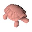 Turtle-low-poly0007.jpg Turtle low poly