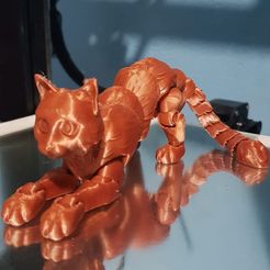 Flexi Cat, Print-in-Place, Chat articulé