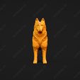 1728-Belgian_Shepherd_Dog_Tervueren_Pose_01.jpg Belgian Shepherd Dog Tervueren Dog 3D Print Model Pose 01
