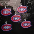 400093786_1055298189229784_164477358876539129_n.jpg Montreal Canadiens puck holder