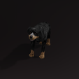 oi.png DOG DOG - DOWNLOAD Rottweiler 3d model - animated CANINE PET GUARDIAN WOLF HOUSE HOME GARDEN POLICE - 3D printing DOG DOG DOG