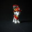 IMG_5121.jpg Marshall (Paw Patrol)