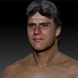 JoseCanseco_0010_Layer 2.jpg Jose Canseco several 3d busts