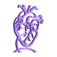 Corazon anatomico adorno.stl 2D minimalist anatomical heart