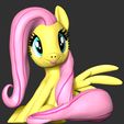 2_2.jpg Fluttershy - My Little Pony