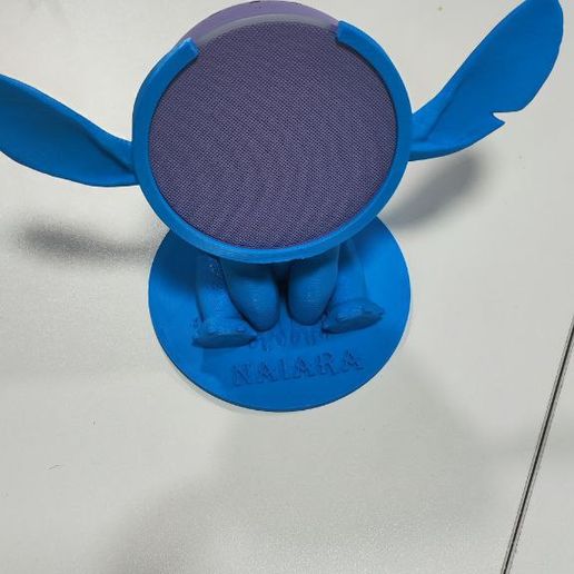 photo_5979079253741912863_y.jpg echo pop stitch support alexa