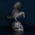 ShopA.jpg Skull with eagle bird, eyes closed, hollow inside
