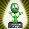 staycalmyoga1.jpg i stay calm, i do yoga
