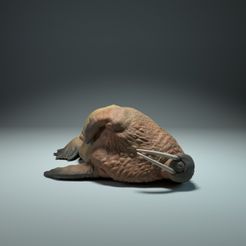 walrus_sleep.jpg STL file Walrus Sleep・Model to download and 3D print, AnimalDenMiniatures