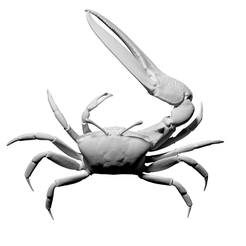 Capture d’écran 2018-09-13 à 17.27.07.png Free OBJ file Fiddler Crab・Template to download and 3D print