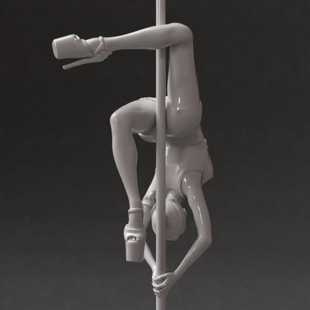 704.jpg Download STL file Sport poledance • 3D print object, SkifX