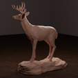 deer-side-2.png Archivo 3D Ciervo de cola blanca・Diseño imprimible en 3D para descargar