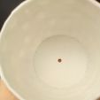 maceta icosa 2.jpg VASO GEODESICO