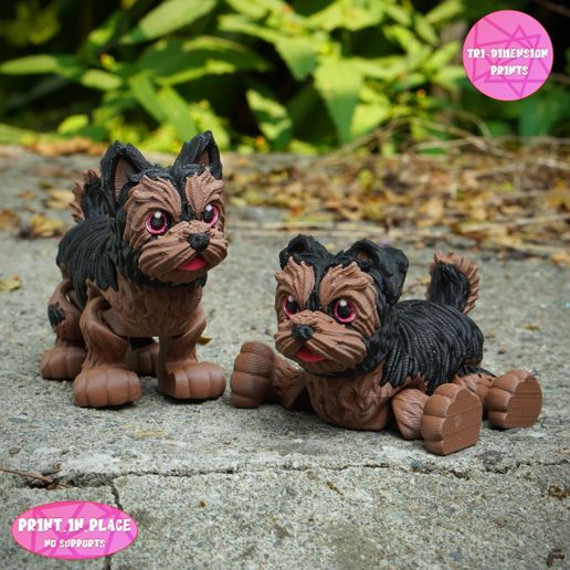 aaa.jpg Print In Place Cute Flexi Yorkshire Dog