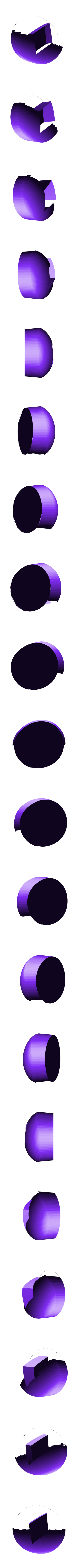 eye_left.stl Лягушка на ветках - разноцветный