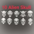IMG_20220814_150006.jpg 30 Human Type Half Skull (10 Alien Skull, 10 Funny Skull,10Normal Skull)   STL File
