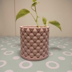 dd1b89ed-72ba-4c75-9257-909f9dafeb8f.jpg maceta bolitas/Pot with little balls
