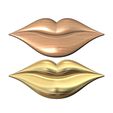 Lips-Relief-02.jpg Lips rosette onlay relief 3D print model