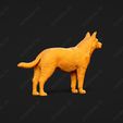 438-Australian_Cattle_Dog_Pose_01.jpg Australian Cattle Dog 3D Print Model Pose 01