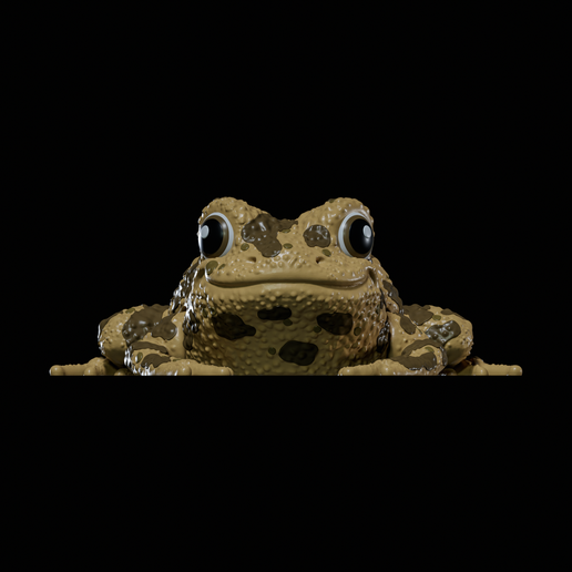 Flexi Frog