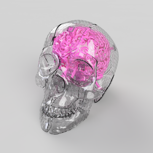 ３個で！トリニティー スカル TRINITY SKULL 3個で！トリニティー スカル TRINITY SKULL 3個で