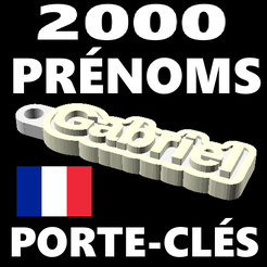 CoverImageFrance.png STL file PORTE-CLÉS PERSONNALISÉS POUR LE TOP 2000 DES PRÉNOMS・Design to download and 3D print, Steve129836