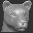 3.jpg Lioness head for 3D printing