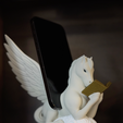 Screenshot-2025-04-27-at-8.28.14 PM.png Pegasus Book and Tablet Display