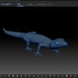 ZBrush5.jpg Japanese Cave Gecko-Goniurosaurus orientalis-STL with Full-Size Texture-High-Polygon 3D Model incl. Zbrush-Originals