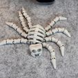 IMG_6813.jpg Flexi Esqueleto Araña V1