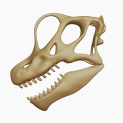 20.png Brachiosaurus Skull