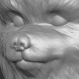 15.jpg Puppy of Pomeranian dog head for 3D printing