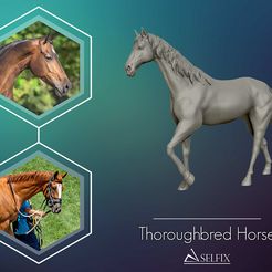 Thoroughbred Horse A\SELFIX Fichier DXF Modèle de cheval Thoroughbred Modèle d'impression 3D・Design pour imprimante 3D à télécharger, selfix