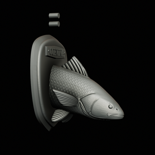 🐠 fish head trophy corvina / cilus gilberti close mouth statue detailed ...