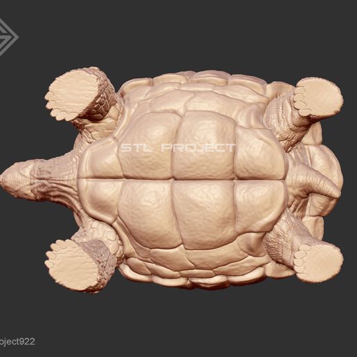 stlproject922 Giant Turtle