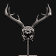 4.png Deer skull with stand