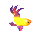 PNG2.png GOLDFISH Guppy Blue Grass FISH TOAD AMPHIBIAN TADPOLE ANIMAL ANATOMY 3D MODEL WATER OCEAN RIVER BOAT SALMON SHARK