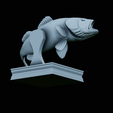 Bass-trophy-42.png Largemouth Bass / Micropterus salmoides fish in motion trophy statue detailed texture for 3d printing
