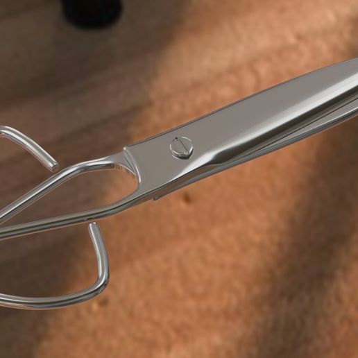 WhatsApp Image 2018-07-21 at 16.13.39.jpeg scissors