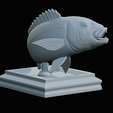 Dentex-trophy-43.png fish Common dentex / dentex dentex trophy statue detailed texture for 3d printing