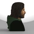 aragorn-bust-lord-of-the-rings-ready-for-full-color-3d-printing-3d-model-obj-stl-wrl-wrz-mtl (13).jpg Aragorn bust Lord of the Rings for full color 3D printing