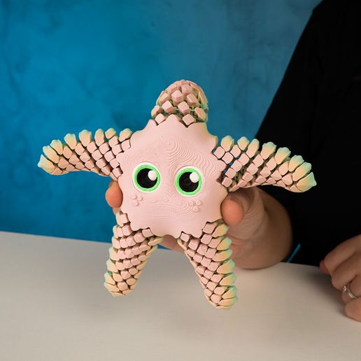 4.jpg Sandy, la estrella de mar