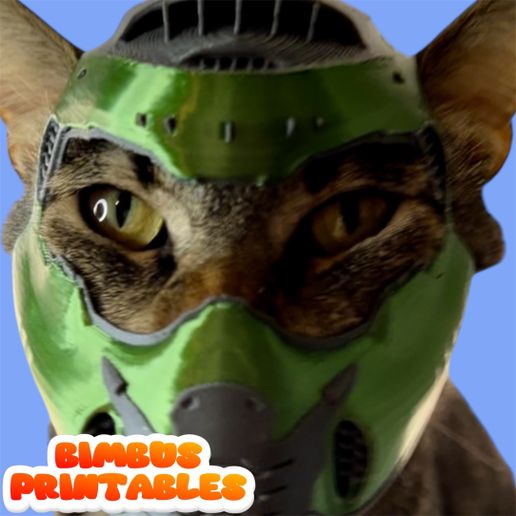 Photoroom_20250326_115819.jpeg Doom Slayer Cat Helmet