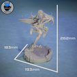 Mythra-Measurements.png Mythra - Xenoblade 2 Chronicles Game Figurine STL for 3D Printing