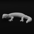 22-min.png Gila Monster Lizard - Realistc Venomous Reptile