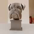 8.png Boxer bust statue stl