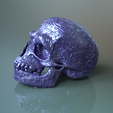 Scull-5f.png Orcish Rune Scull