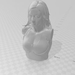 Screenshot-2022-12-07-174357.jpg STL file The Man Becky Lynch Bust・3D printable design to download, TheGreatHarryBarnett